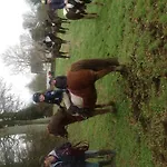 Innisfree Bunratty