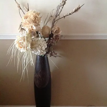 Innisfree Бунратти