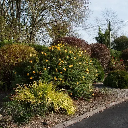 Innisfree 4* Bunratty