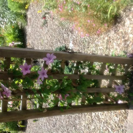 Innisfree 4* Bunratty