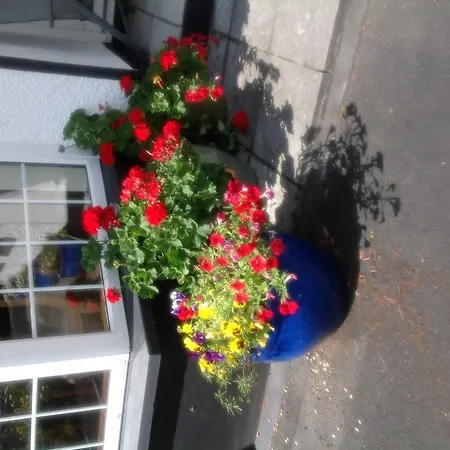 Innisfree Отель типа 