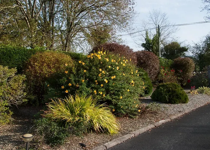 Innisfree 4* Bunratty