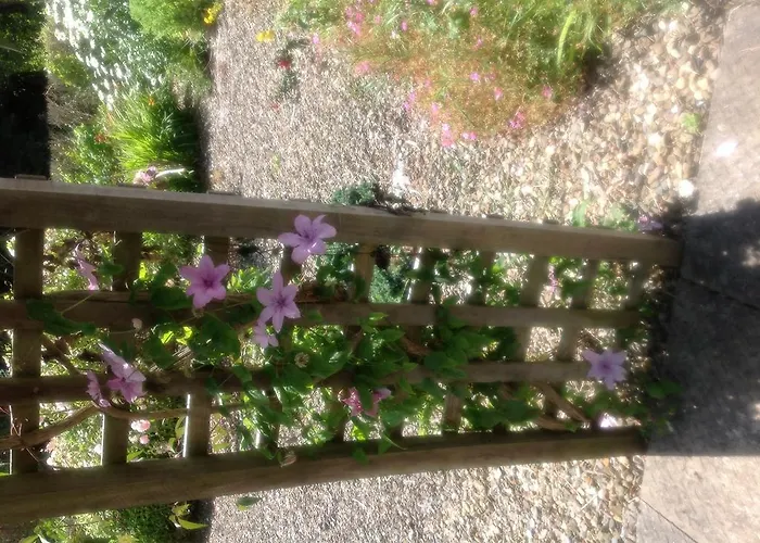 Innisfree 4* Bunratty