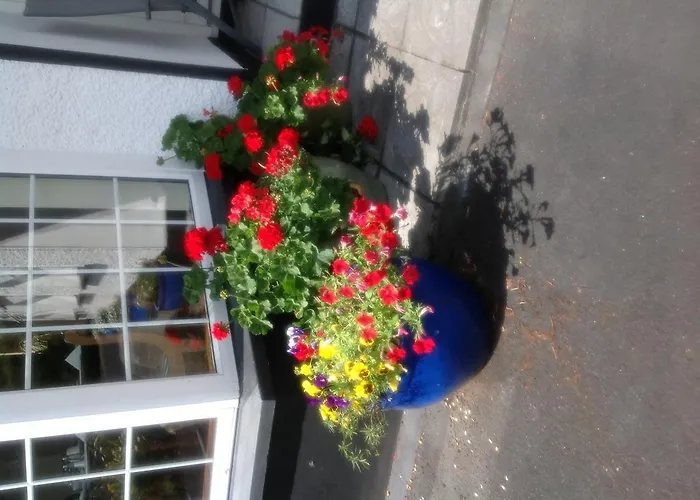 Innisfree Oda ve Kahvaltı 4*